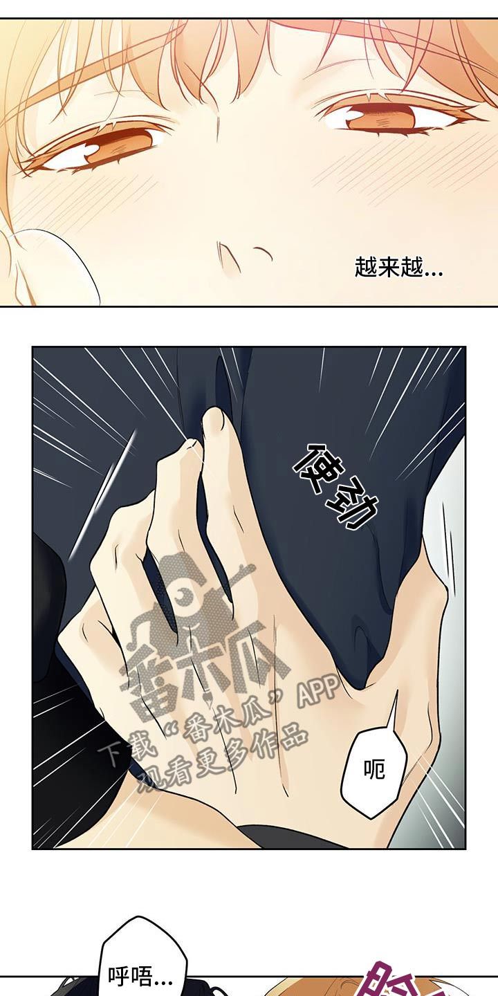 给我全部的爱文案漫画,第81话5图