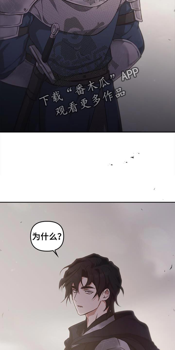 驯龙秘诀原名外网漫画,第60话2图