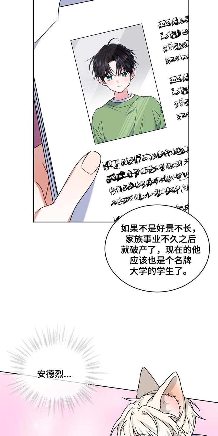 弗林的狐狸饮料免费观看漫画,第27话2图