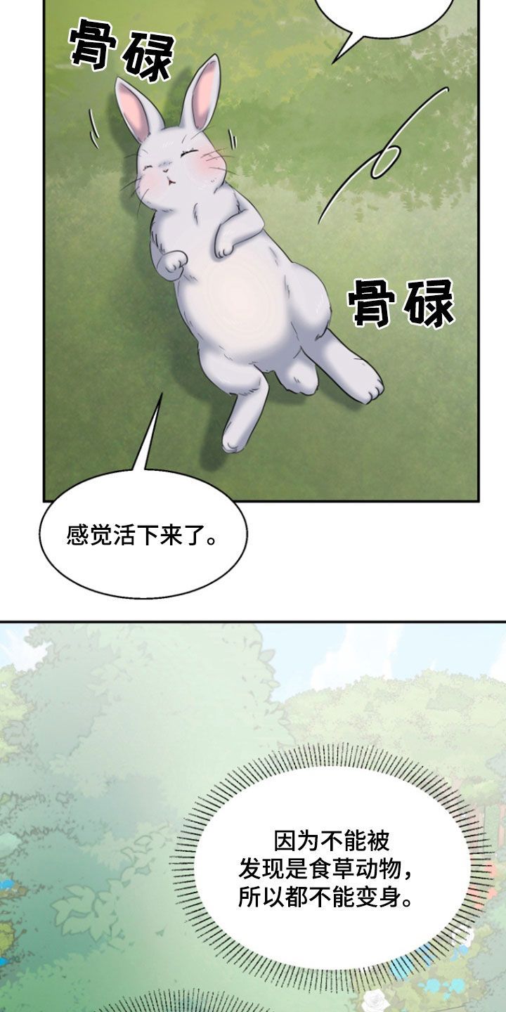 白兔伴孤坟漫画,第44话1图