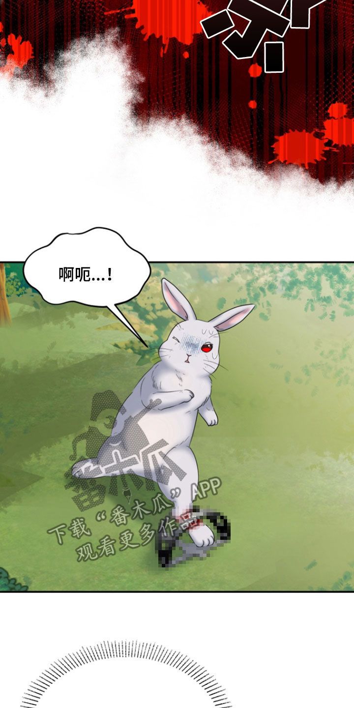 白兔这首歌漫画,第44话4图