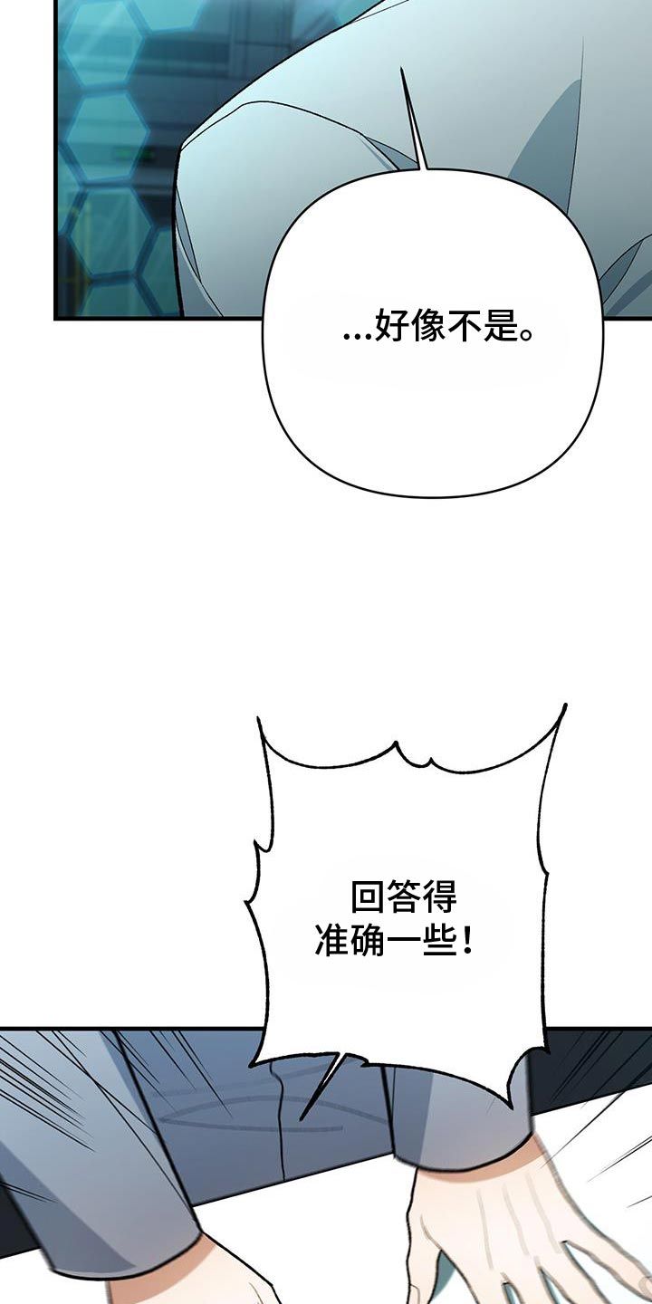 指南条约漫画免费观看漫画,第75话5图