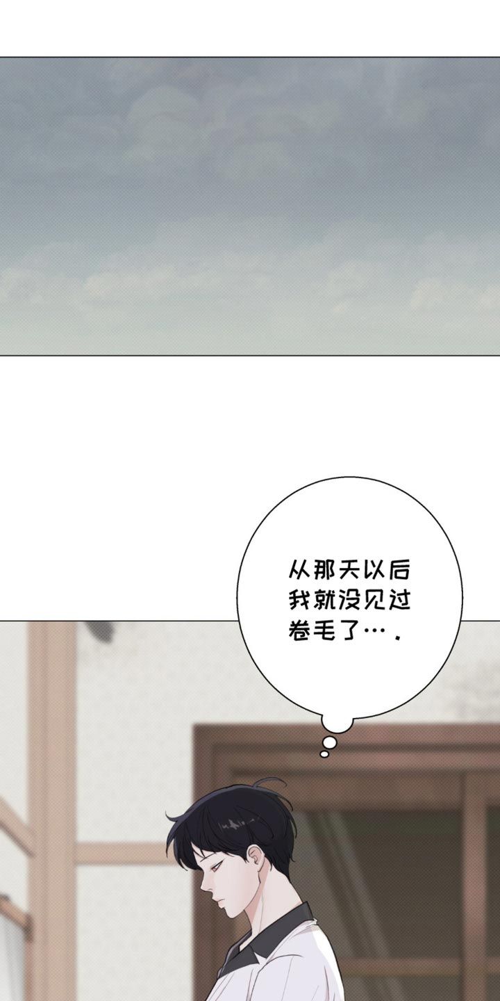 海岛人生韩漫完结了吗漫画,第37话1图