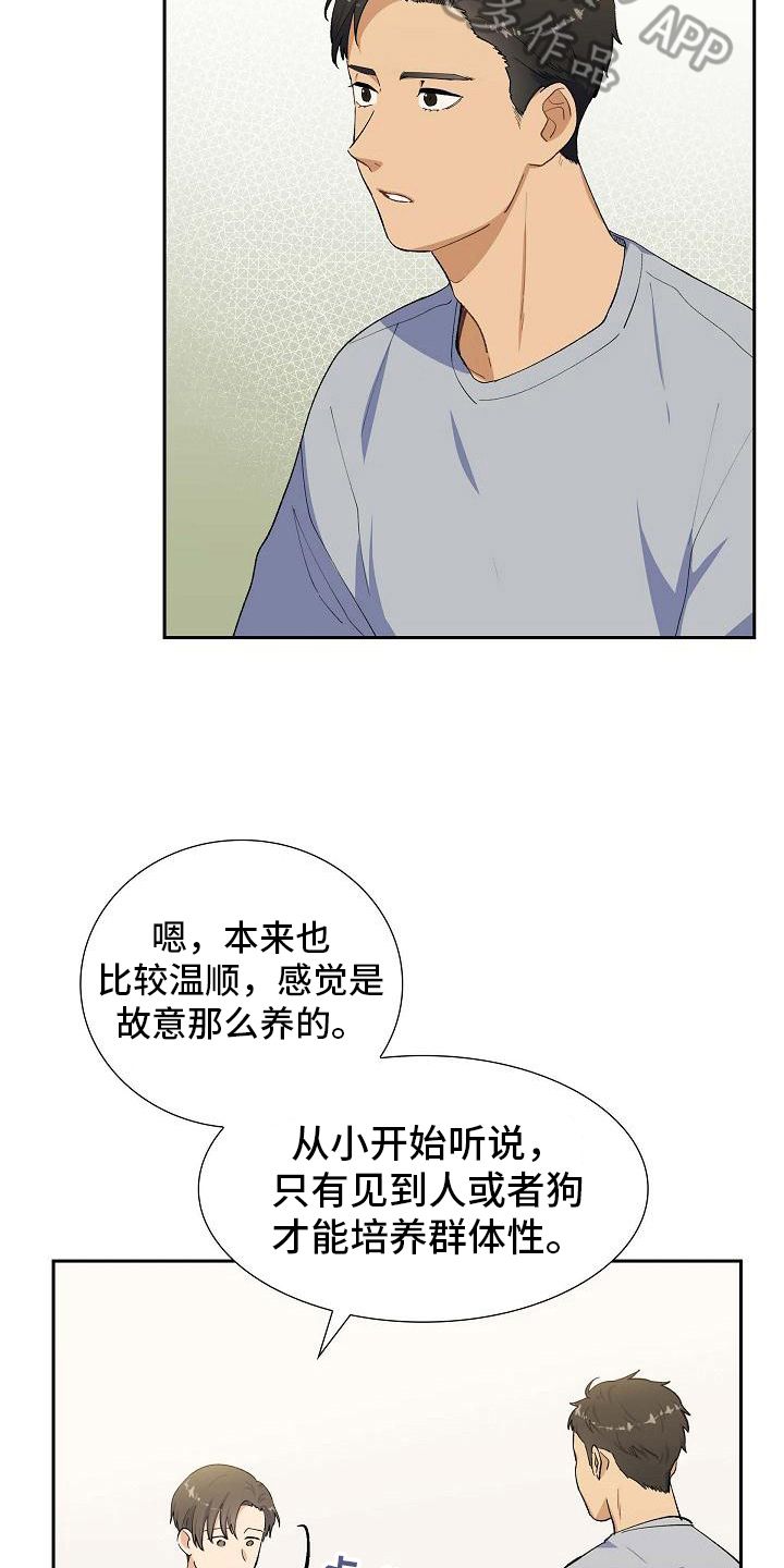 再相会歌基督教歌词漫画,第20话4图