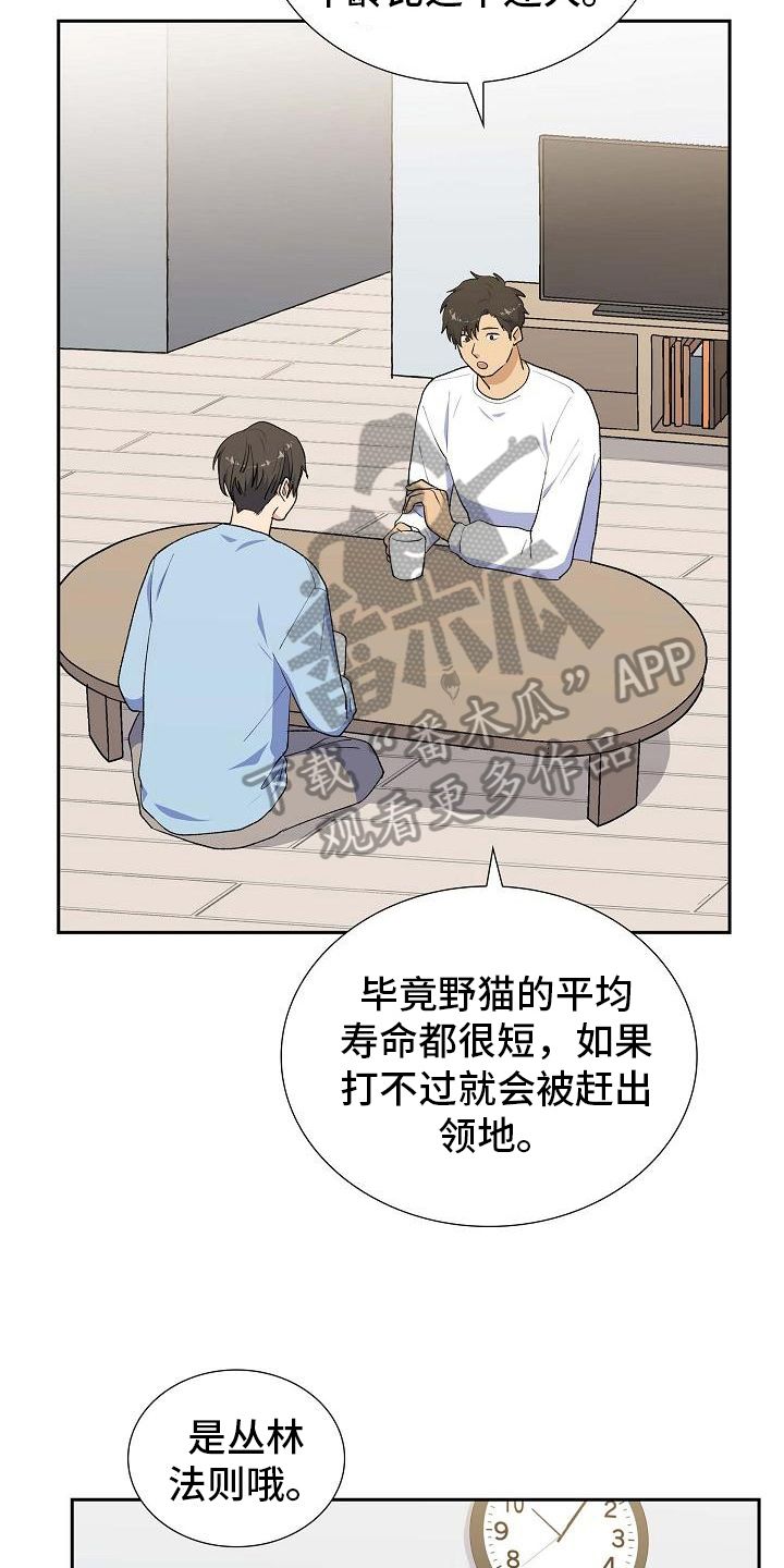 再相会歌基督教歌词漫画,第26话5图