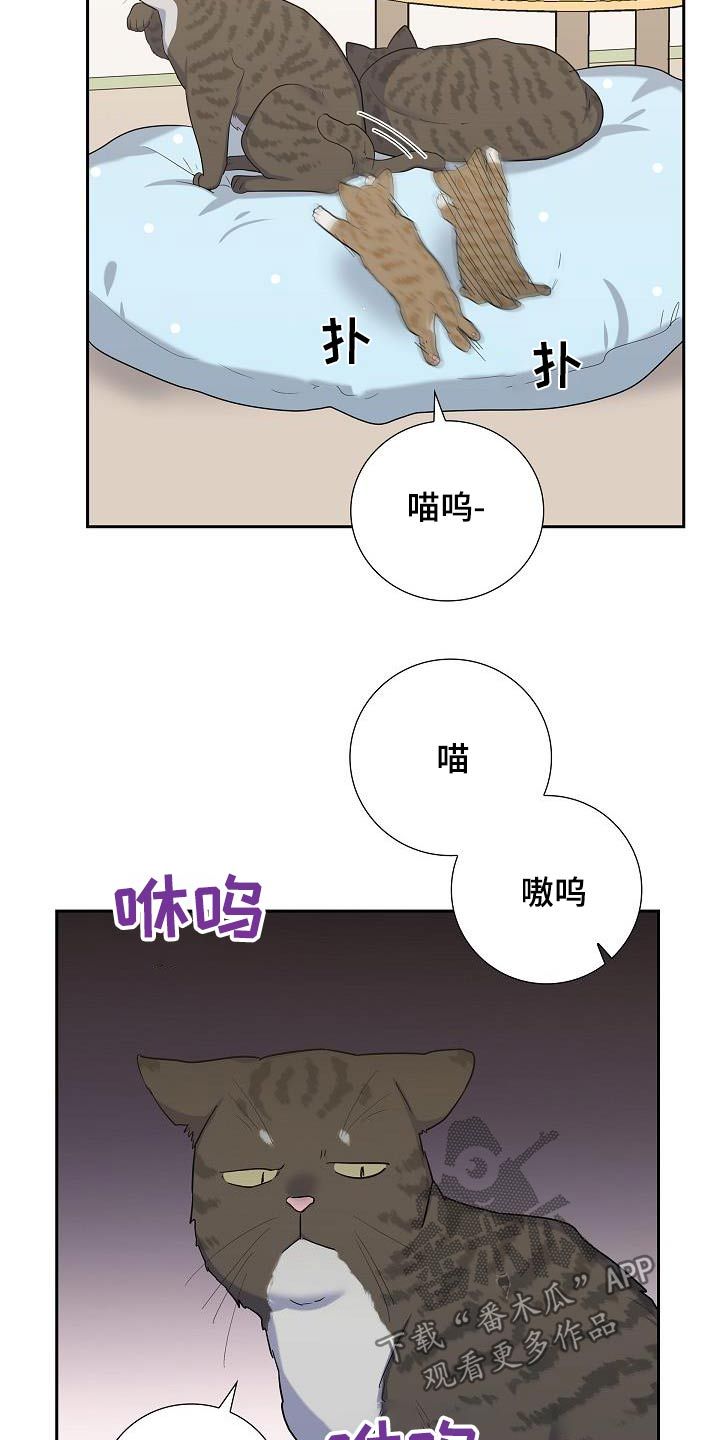 再相会原唱现场版漫画,第93话4图