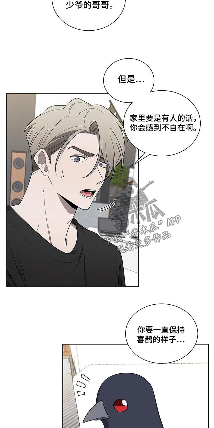 鹊蛇之争漫画在线观看漫画,第39话2图