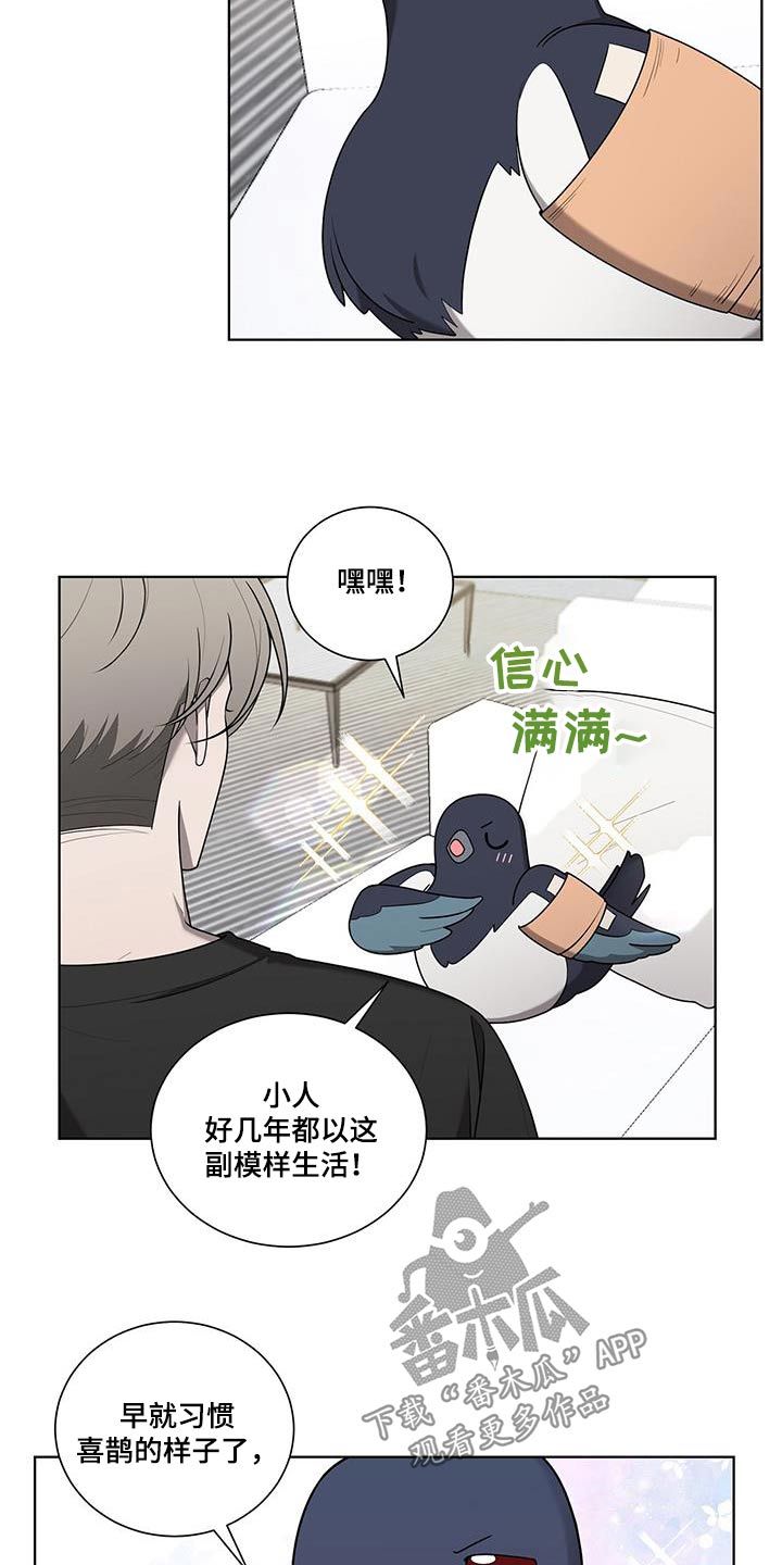 鹊蛇之争免费漫画,第39话3图