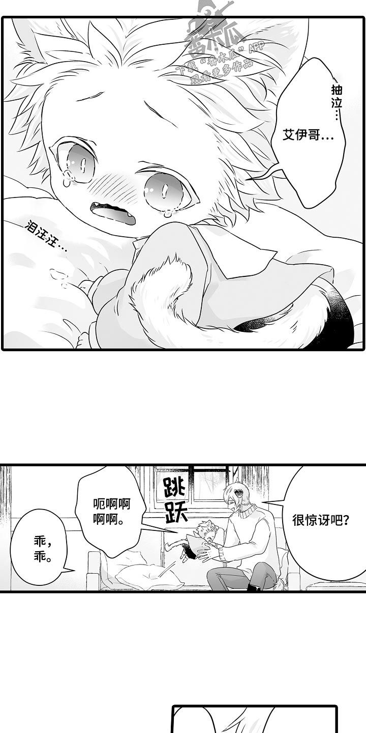 森林中的熊漫画,第69话4图