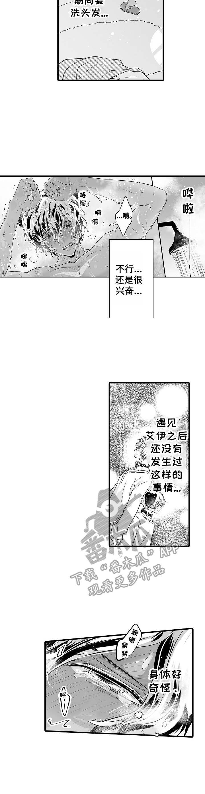 森林中的熊漫画,第7话4图