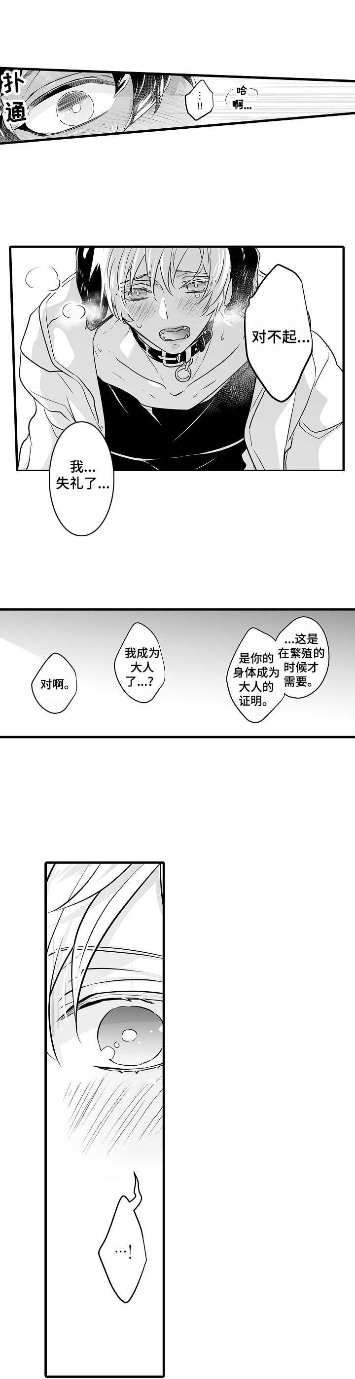 森林中的熊先生之类的漫画漫画,第3话2图