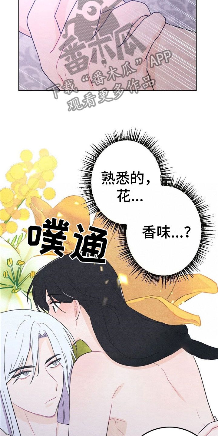 银狼的疼爱每周几更新漫画,第17话4图