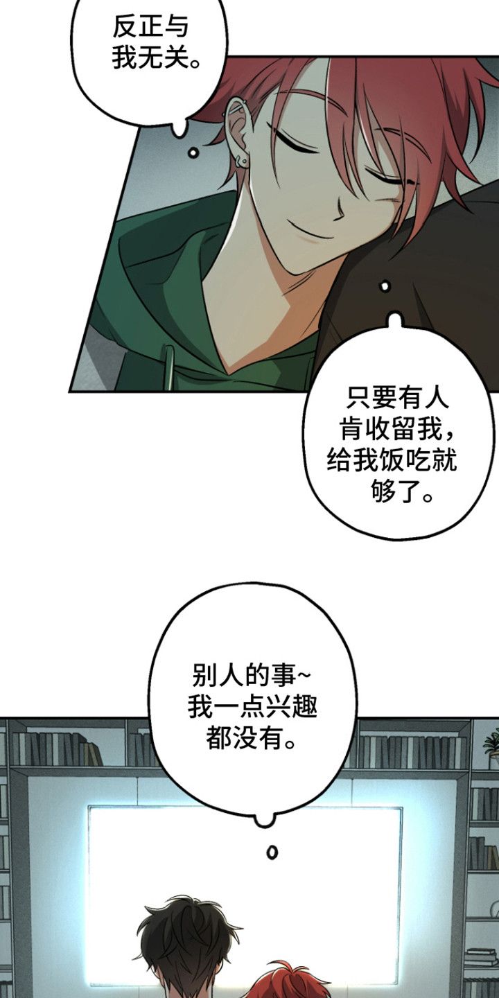 金主计划漫画免费观看下拉漫画,第12话1图