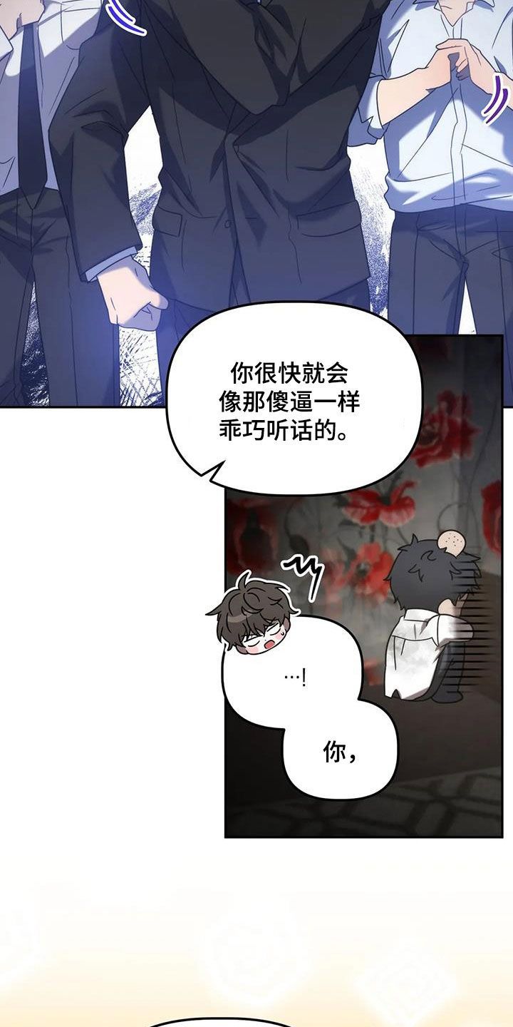 危运助手官方网站漫画,第58话5图