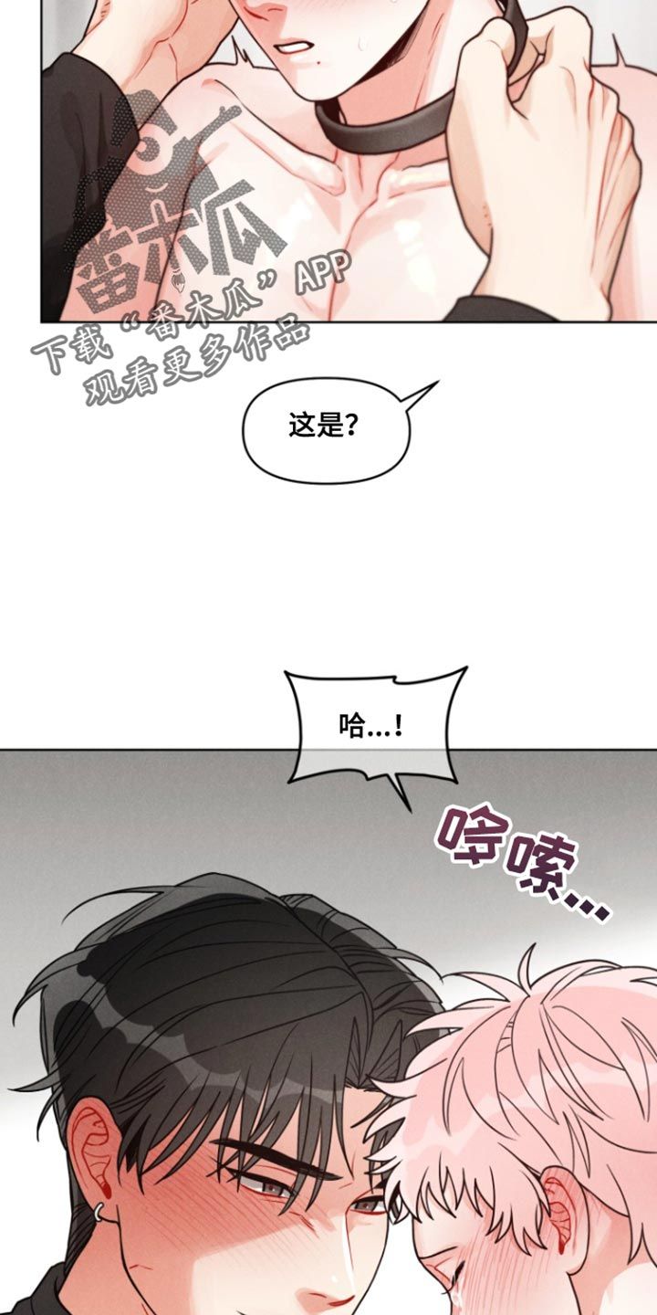 私人定制和私人订制的区别漫画,第17话2图