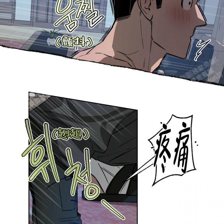 独宠代嫁王妃全文免费阅读漫画,第81话3图