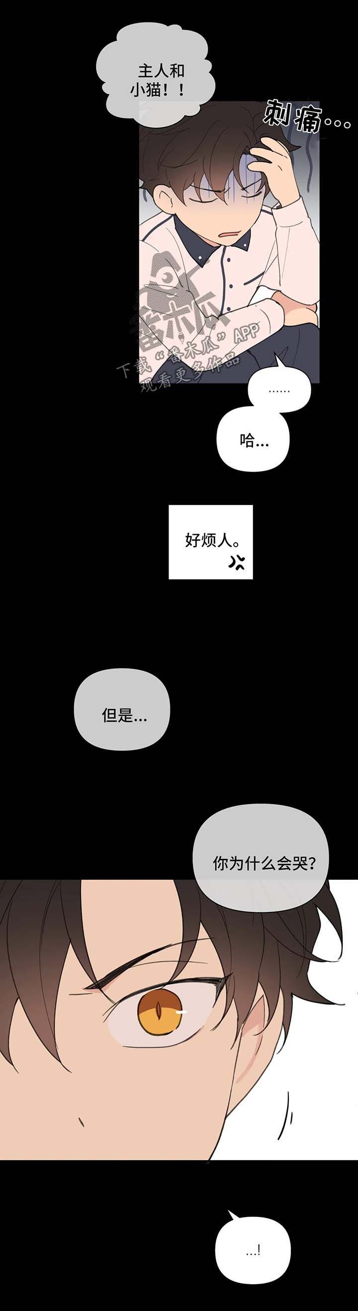 学院代表漫画免费阅读漫画,第78话3图