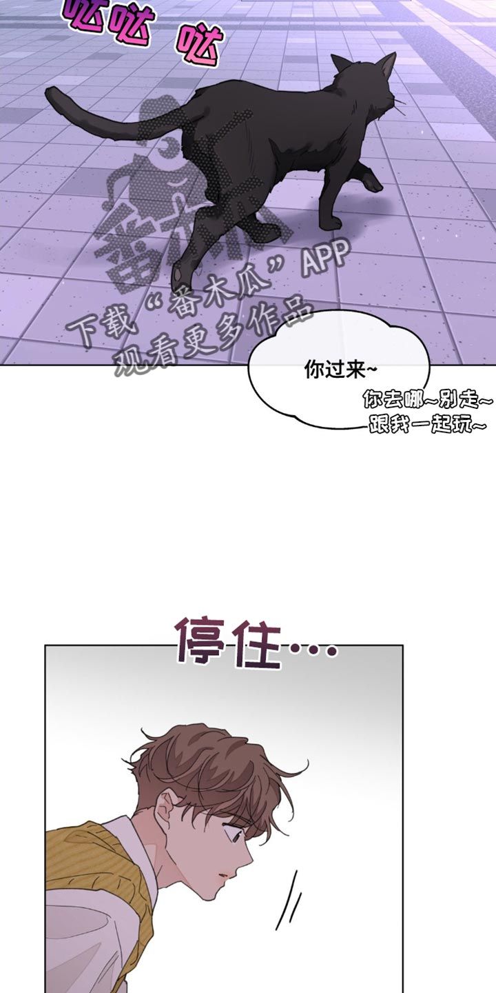 学院代表漫画免费阅读漫画,第160话4图