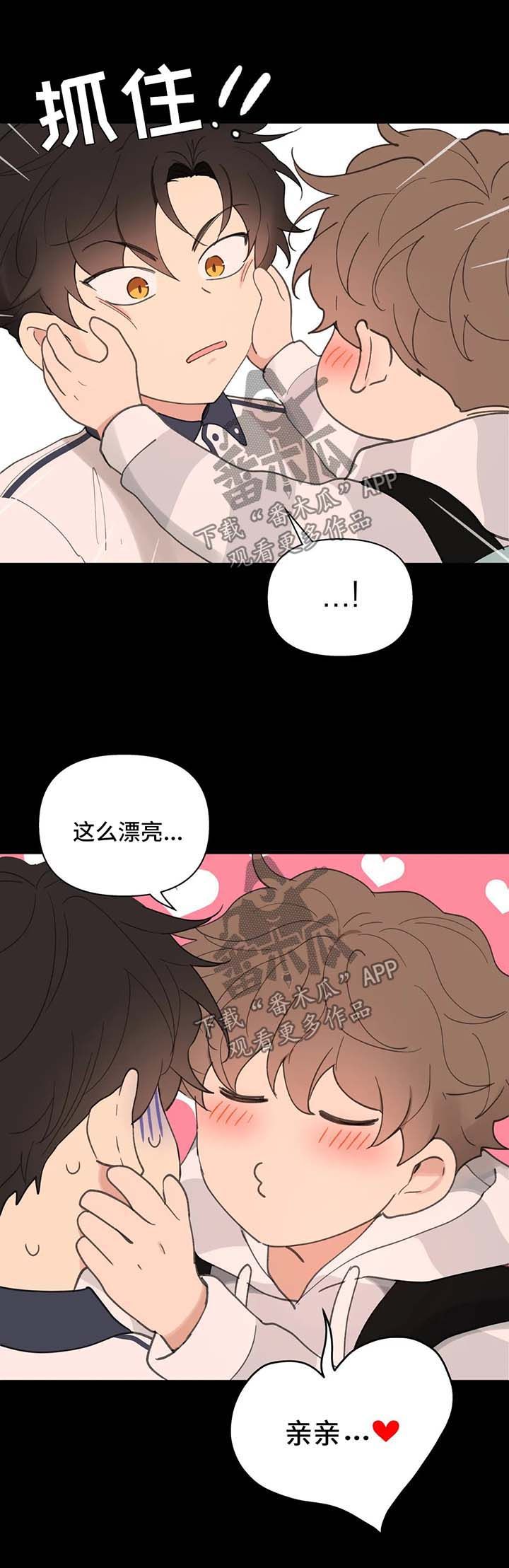 哈利波特学院代表的意义漫画,第78话1图