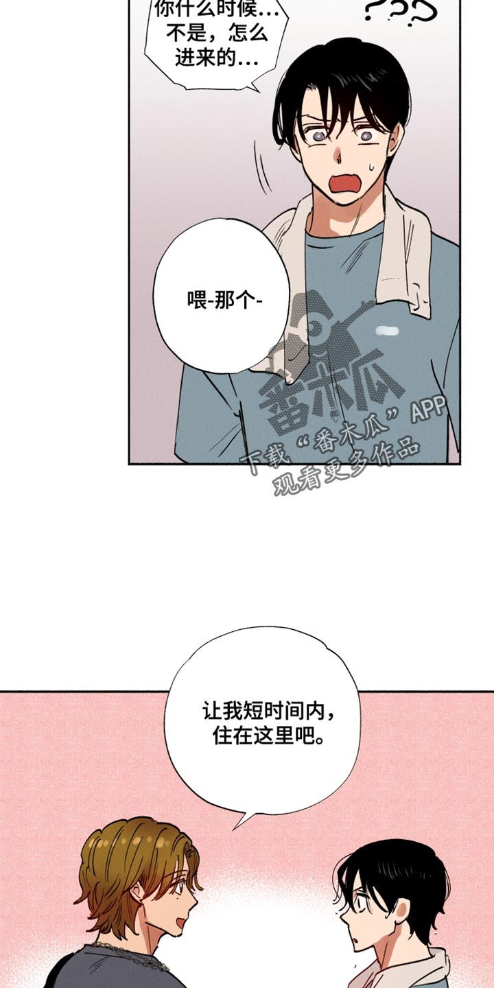 社牛同学漫画,第37话1图