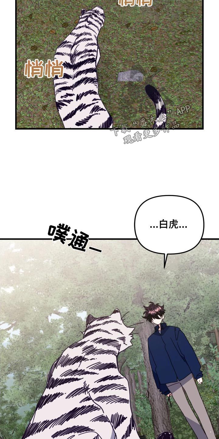 吸引壁虎的声音漫画,第82话3图