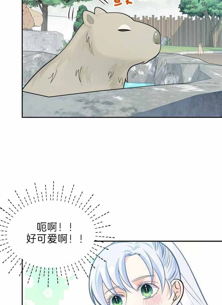 骗婚的狐狸漫画解说漫画,第29话4图