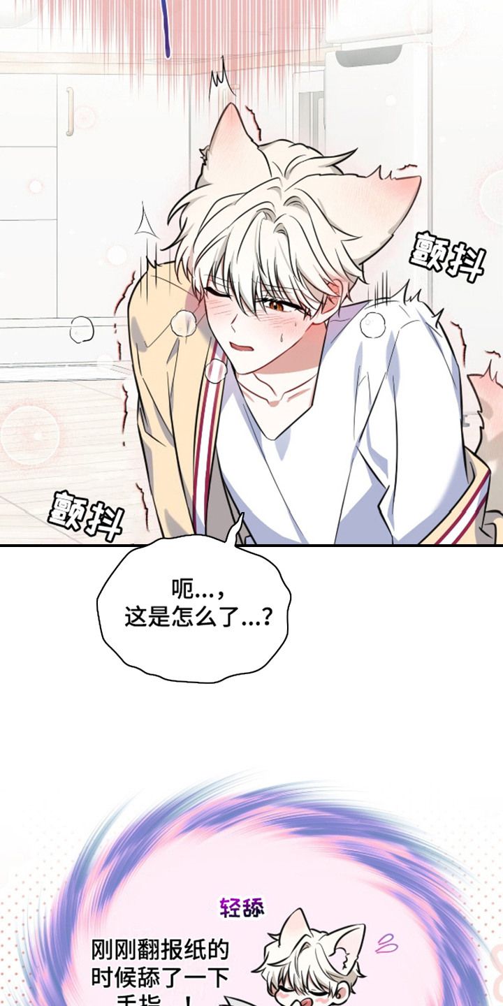 弗林的狐狸饮料漫画,第4话3图