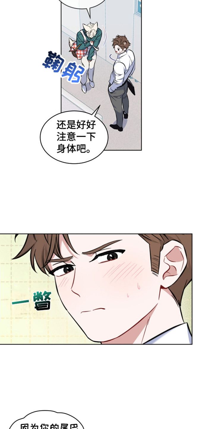 弗林的狐狸饮料图漫画,第5话4图