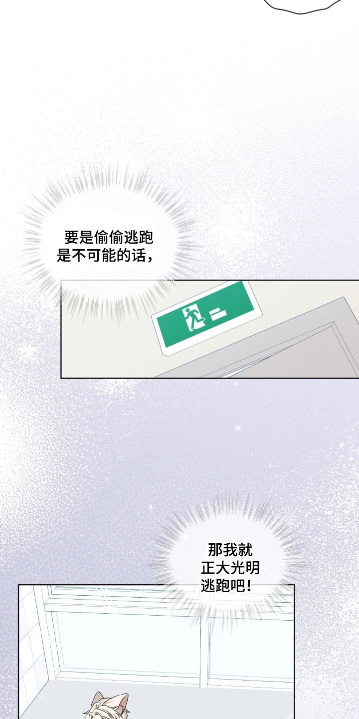 弗林的狐狸饮料漫画,第9话2图