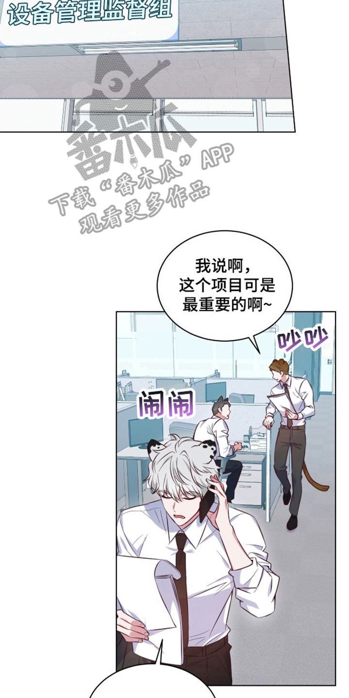 弗林的狐狸饮料从哪看漫画,第1话2图