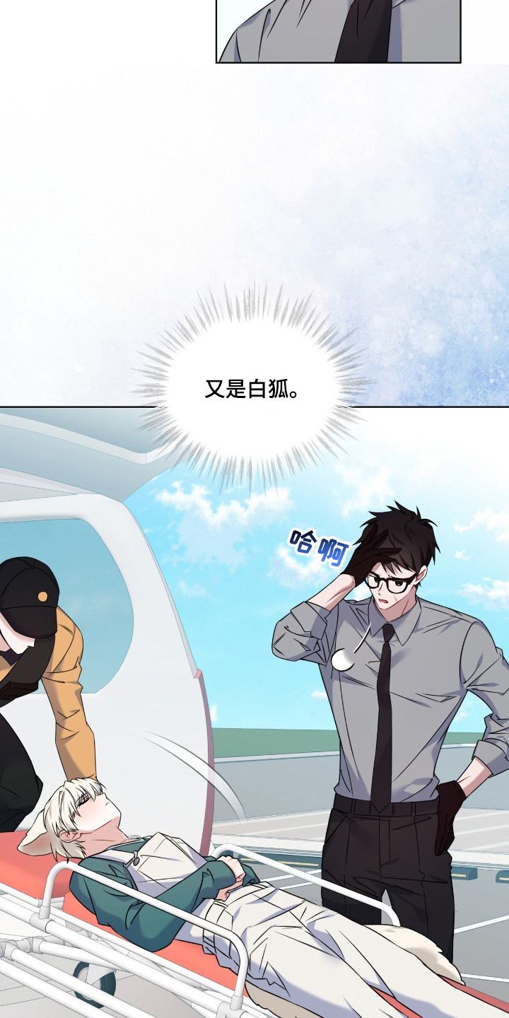 弗林的狐狸饮料韩漫在线看免费版漫画,第11话3图