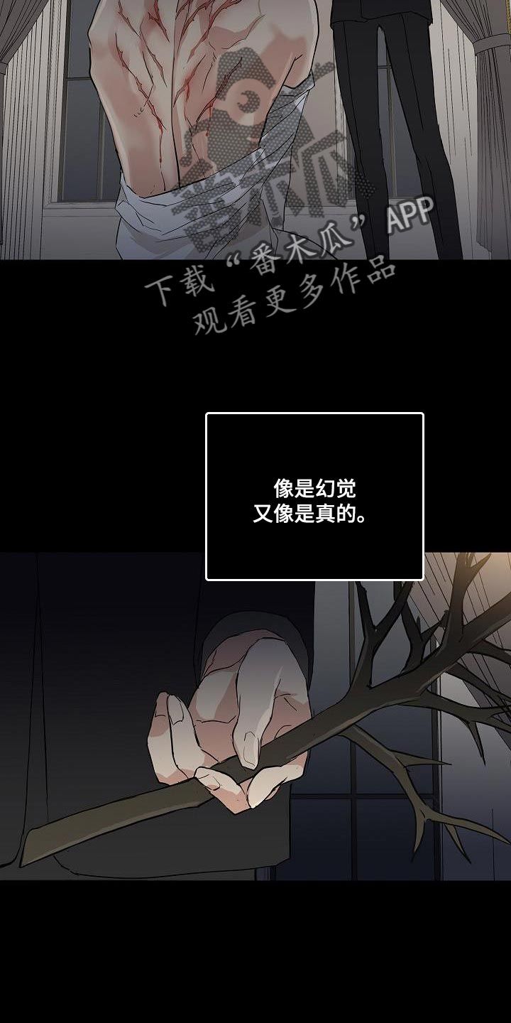 与男人结婚简介漫画,第216话5图