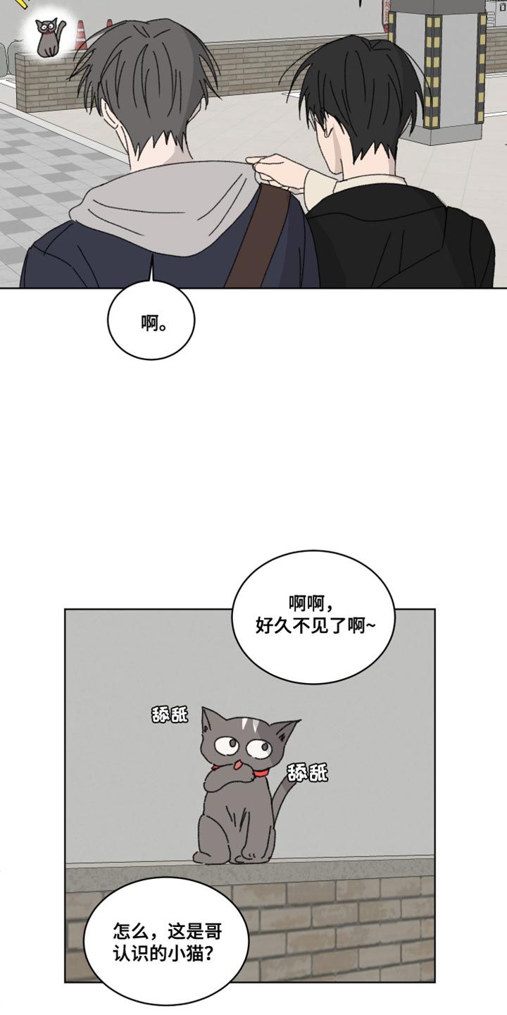 缺少浪漫因素漫画,第41话2图