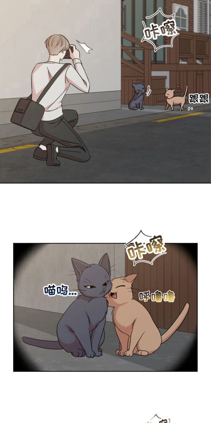 不可避免的家庭危机是漫画,第11话2图