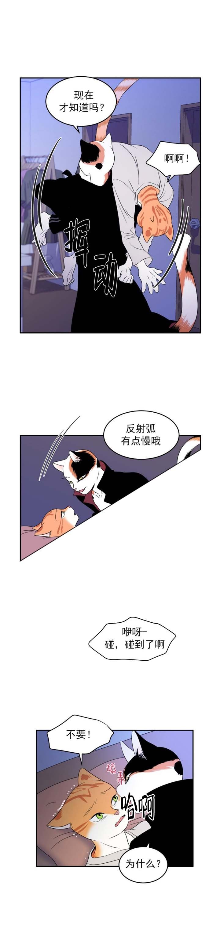 蓝色计划漫画,第3话1图