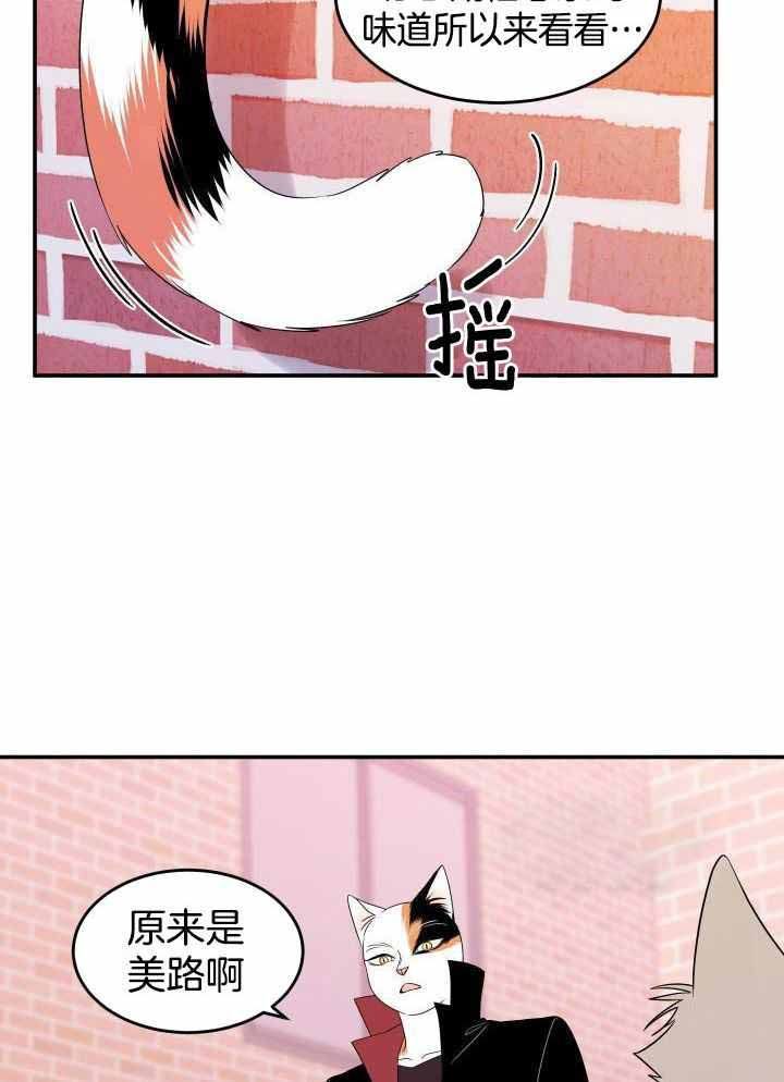 蓝色计划是什么意思漫画,第26话1图