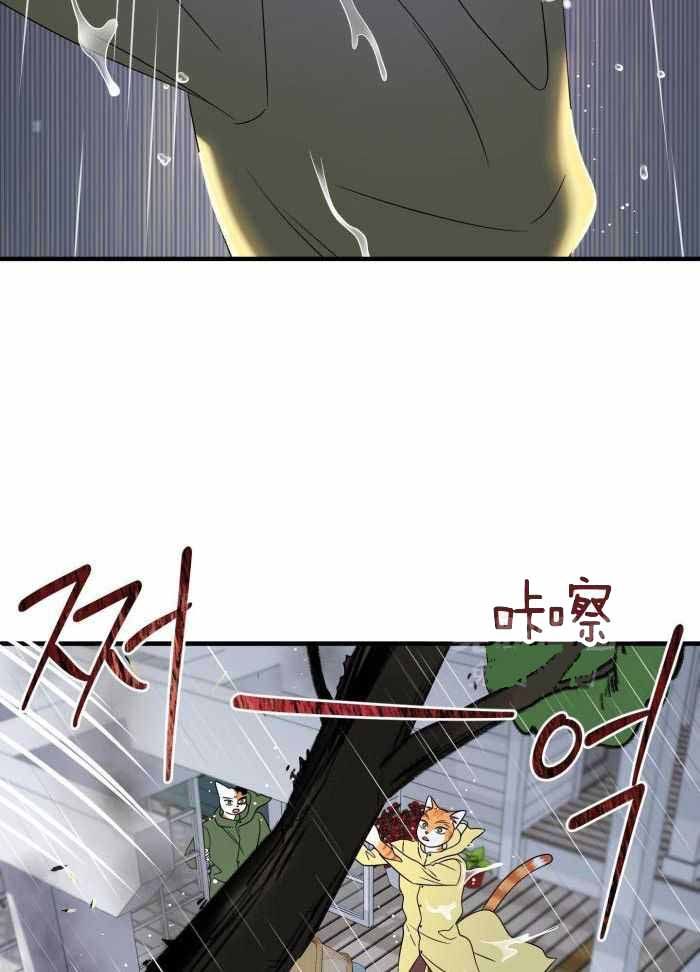 蓝色计划漫画,第96话5图