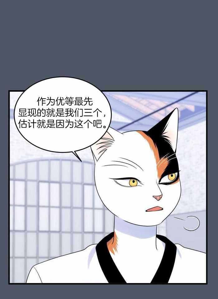 蓝色计划漫画,第82话1图