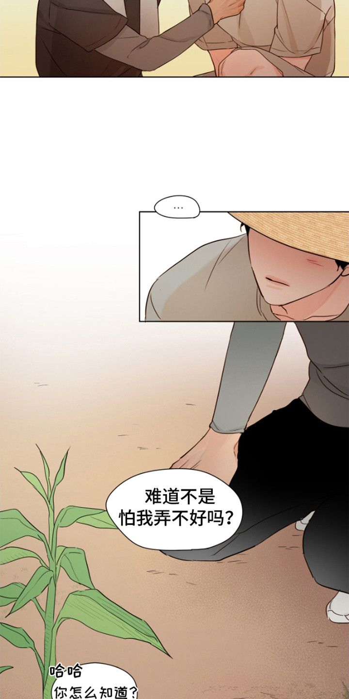 家的温暖如家漫画,第11话1图