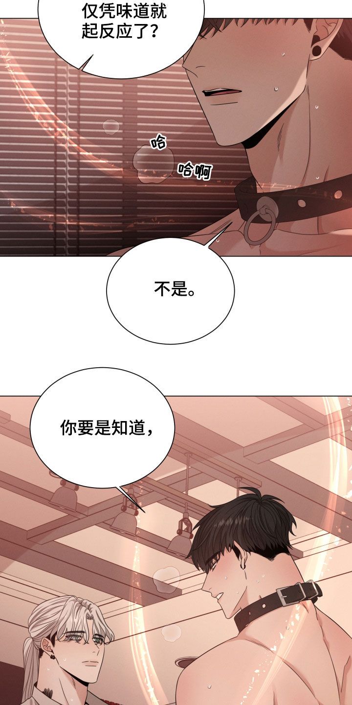 唯你独闻第二季96话漫画,第39话4图