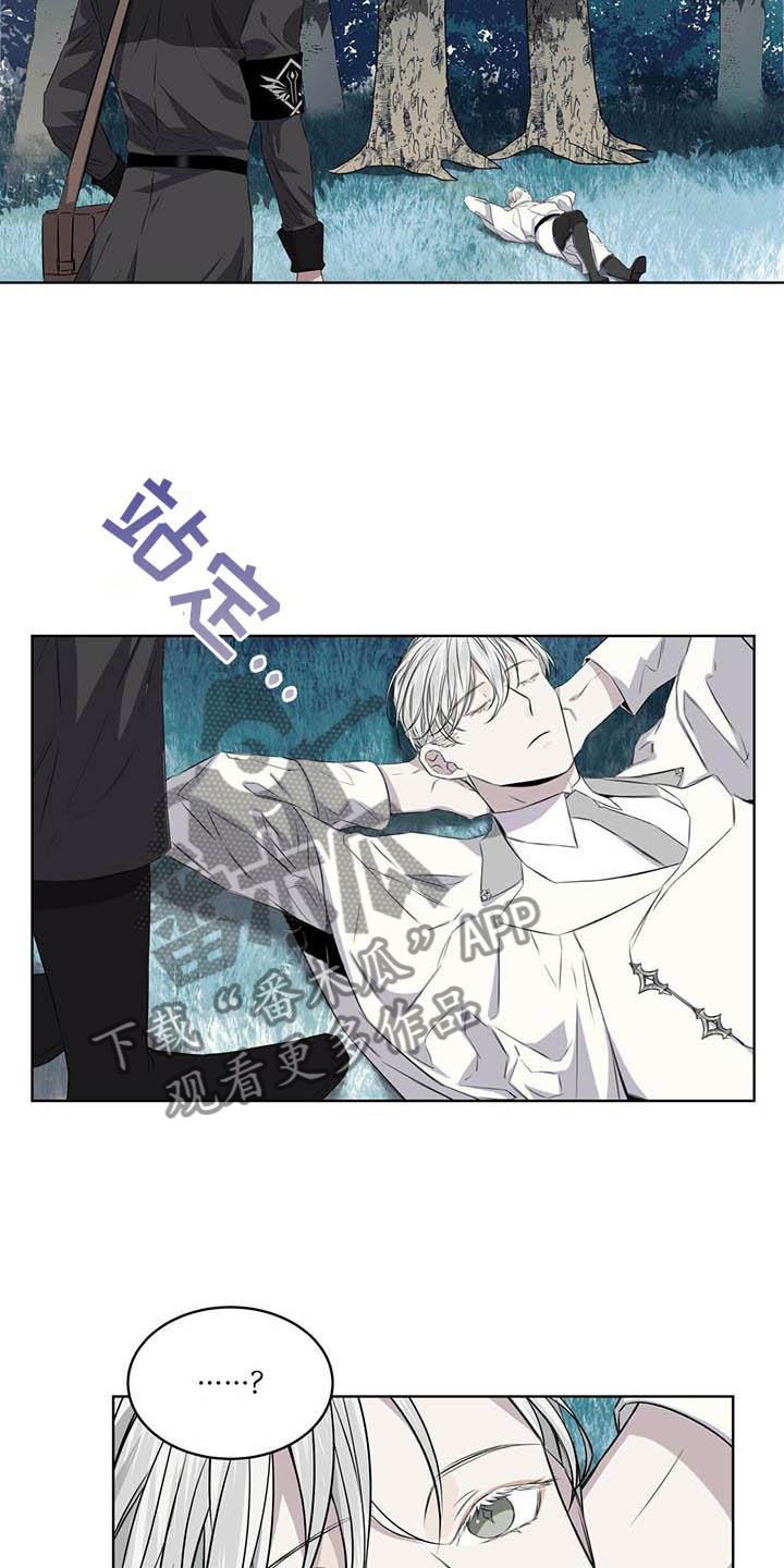 森与海最新航拍视频漫画,第30话2图