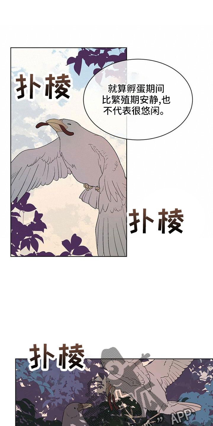 森与海之城开放时间漫画,第39话1图