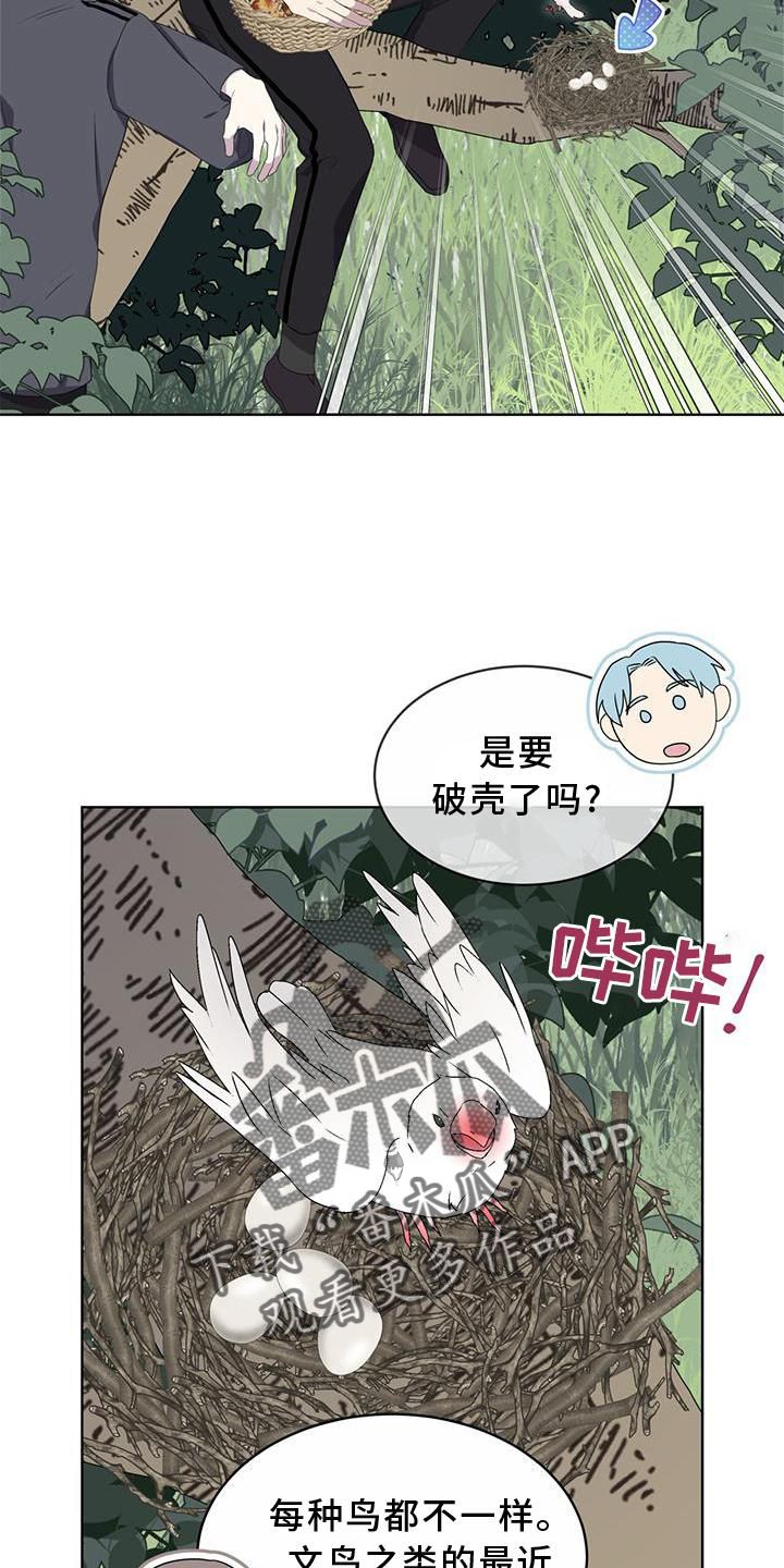 森海之恋史华贤小说漫画,第54话1图