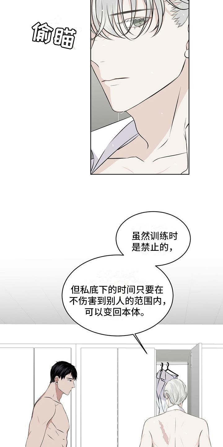 森与海之城一期漫画,第15话2图