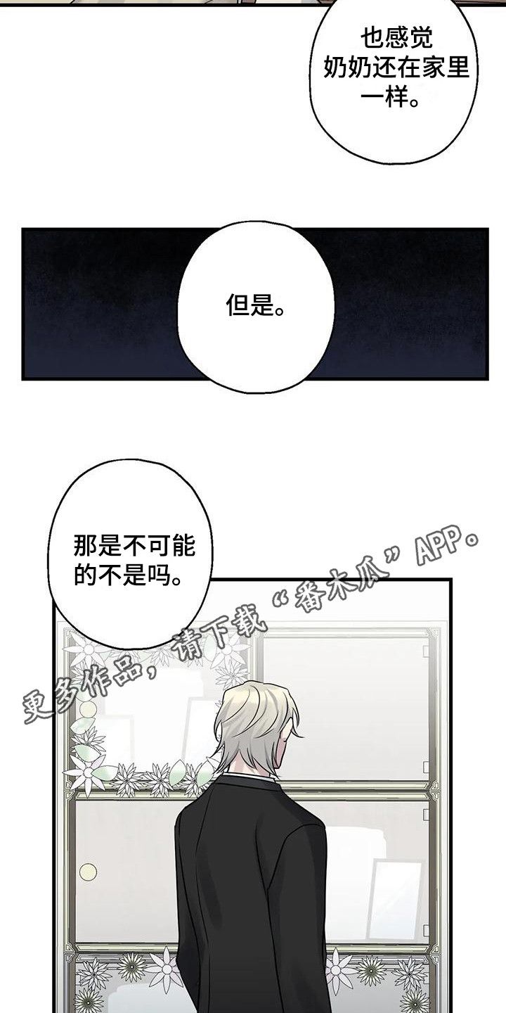 年下之恋漫画,第15话5图