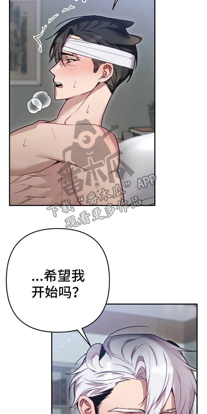 豹豹大狗狗漫画,第11话2图