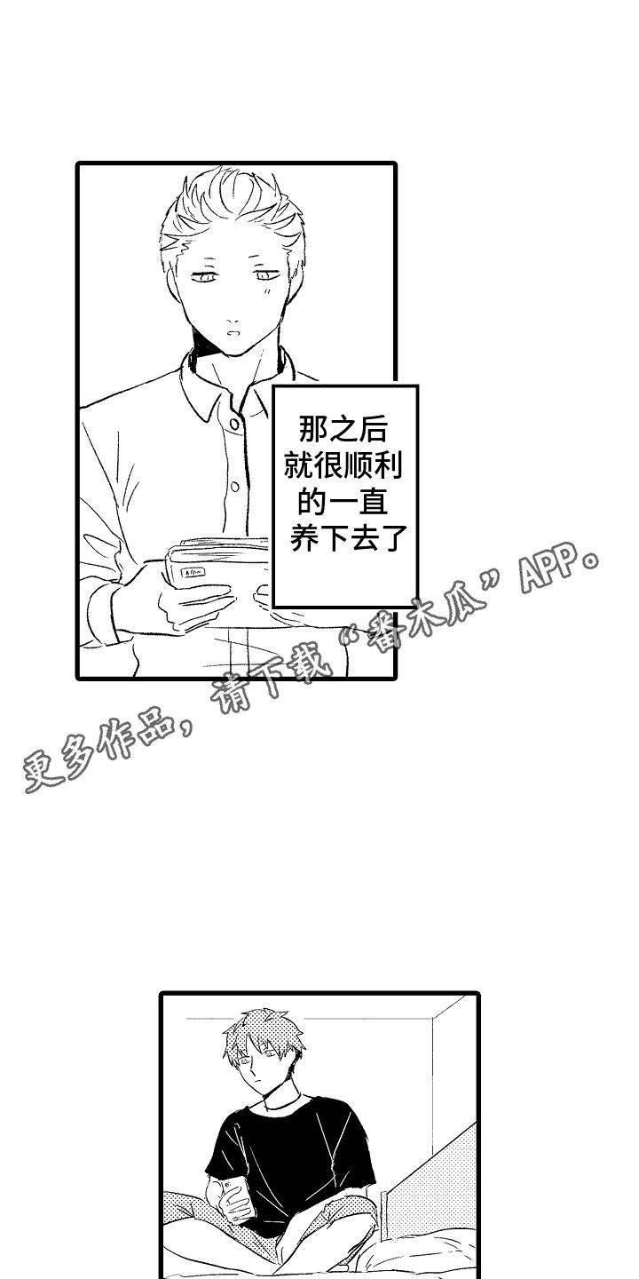 化作人形守护你漫画,第2话4图