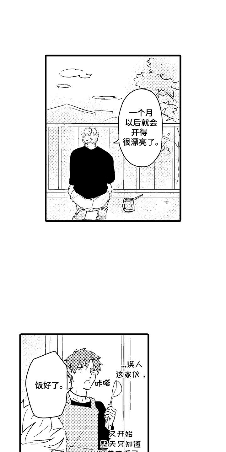 化作天使守护你小说漫画,第14话2图