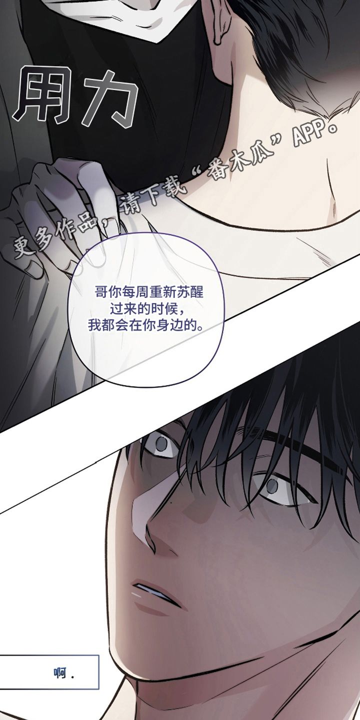 心灵的归宿古筝漫画,第16话3图