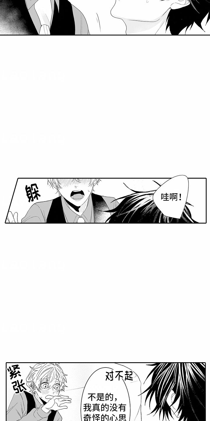 浪漫风暴1-48集完整版免费观看漫画,第12话1图